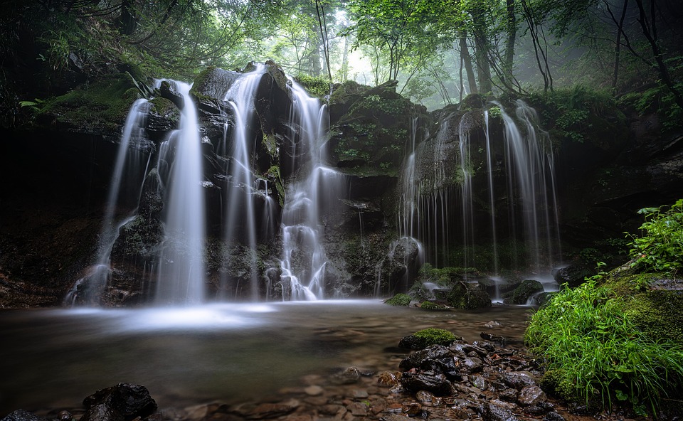 Fukui Prefecture: The Perfect Destination for Nature Lovers