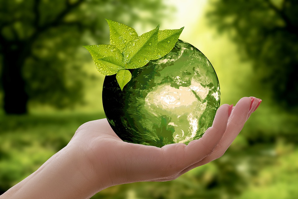 The ethical considerations of long-term sustainability in business